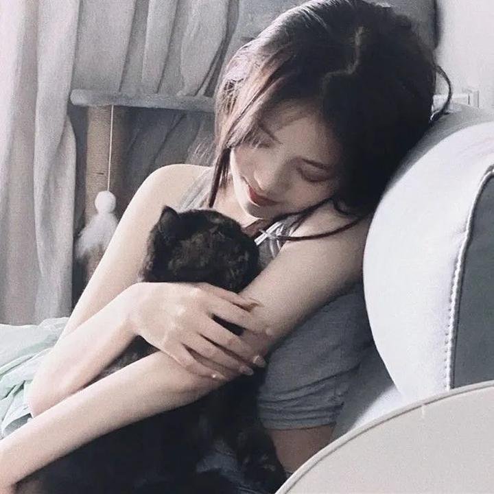 好莱坞芭比电影版